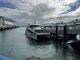 Fullers360 Ferry to Waiheke Island Review