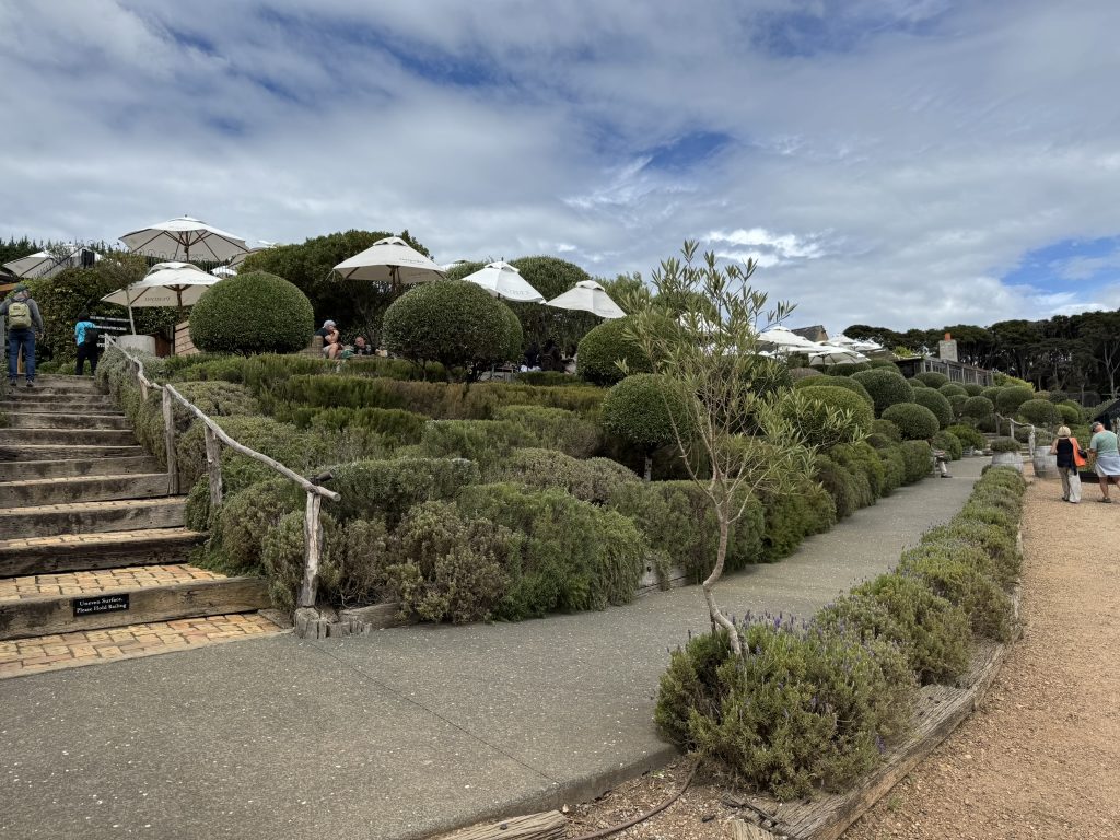 Mudbrick Vineyard View Mudbrick Vineyard View